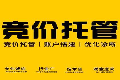 竞价托管成功案例：如何选择合适的托管方案？